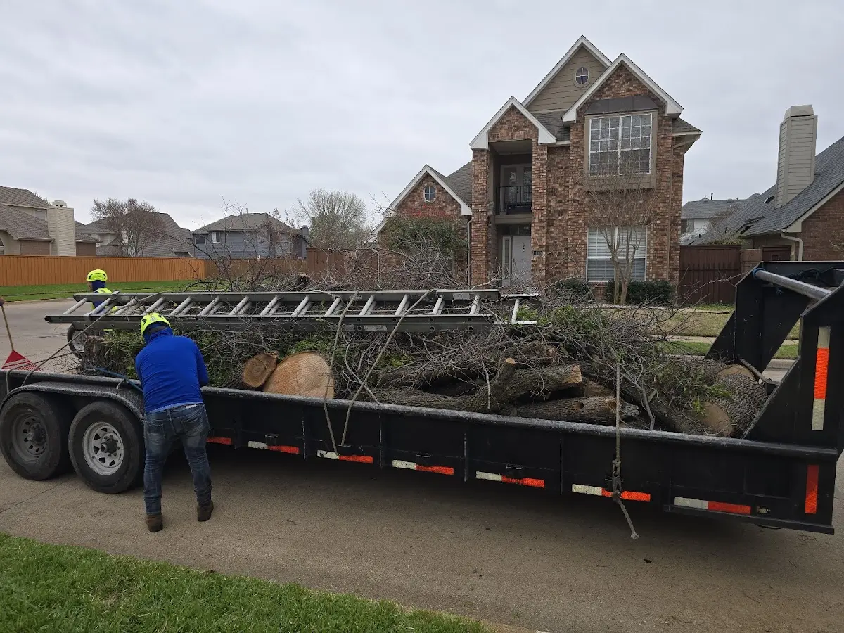Expert Crown Reduction with proper safety equipment in Clinton Township